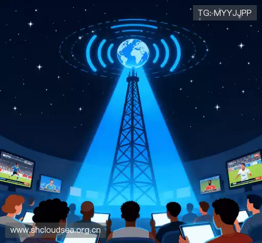 为什么选择我们